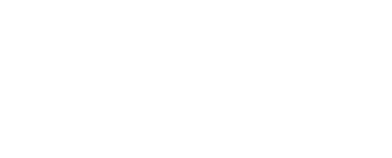 Startseite 39 connection-logo-white-big