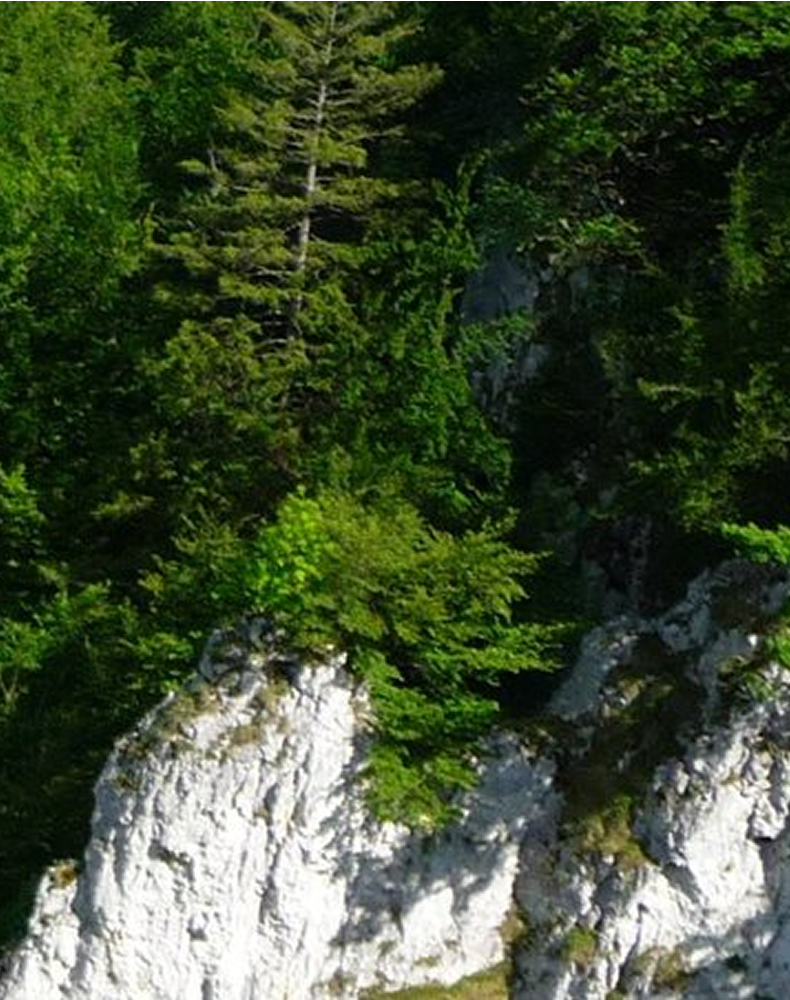 Naturpark Obere Donau: Hosting und Support